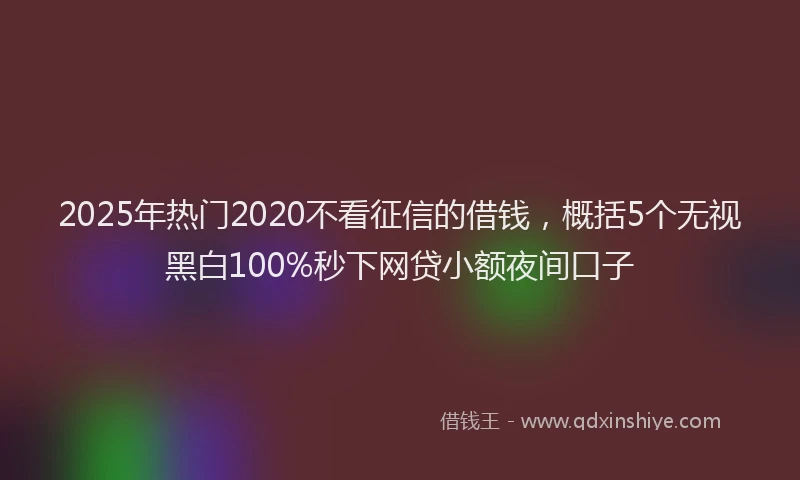 2025年热门2020不看征信的借钱，概括5个无视黑白100%秒下网贷小额夜间口子
