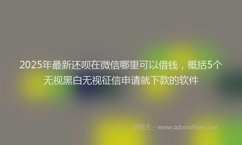 2025年最新还呗在微信哪里可以借钱，概括5个无视黑白无视征信申请就下款的软件