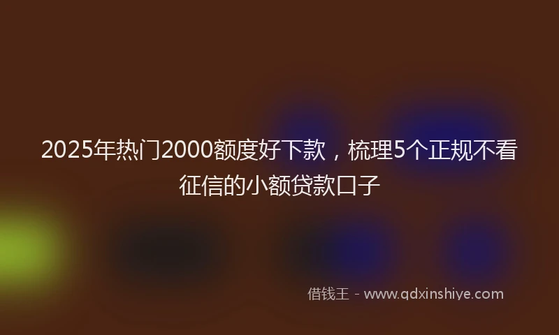 2025年热门2000额度好下款，梳理5个正规不看征信的小额贷款口子