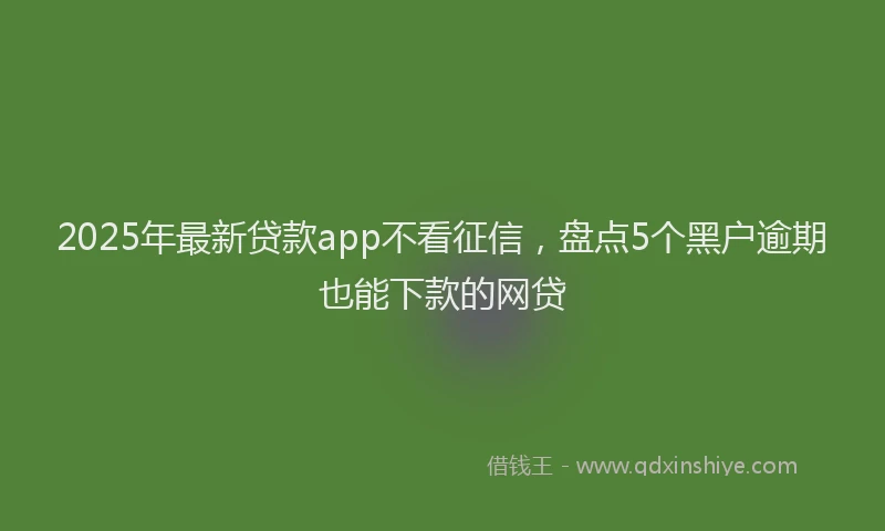2025年最新贷款app不看征信，盘点5个黑户逾期也能下款的网贷