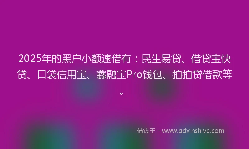 2025年的黑户小额速借有：民生易贷、借贷宝快贷、口袋信用宝、鑫融宝Pro钱包、拍拍贷借款等。