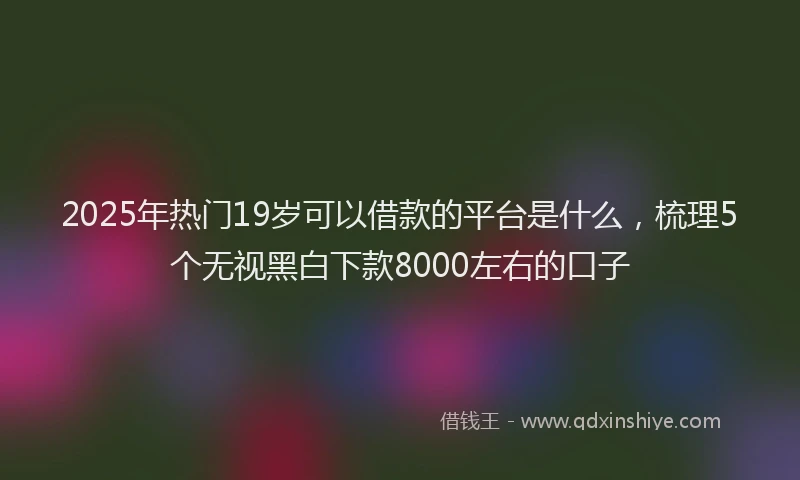 2025年热门19岁可以借款的平台是什么，梳理5个无视黑白下款8000左右的口子