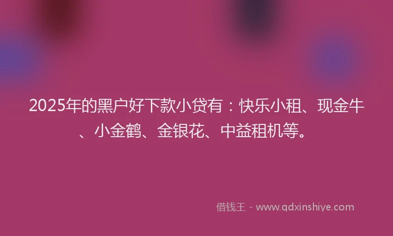 2025年的黑户好下款小贷有：快乐小租、现金牛、小金鹤、金银花、中益租机等。