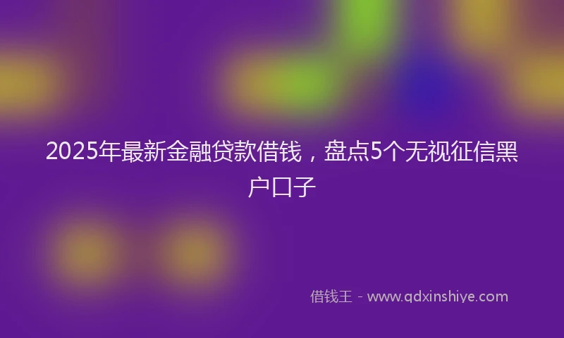 2025年最新金融贷款借钱，盘点5个无视征信黑户口子