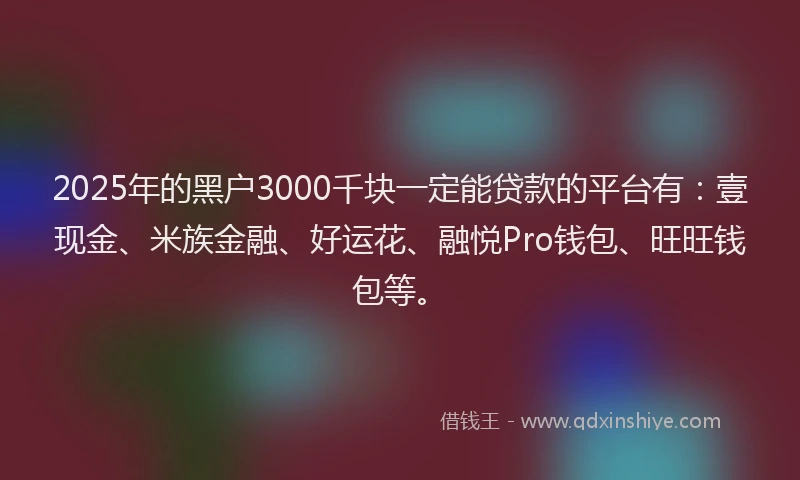 2025年的黑户3000千块一定能贷款的平台有：壹现金、米族金融、好运花、融悦Pro钱包、旺旺钱包等。