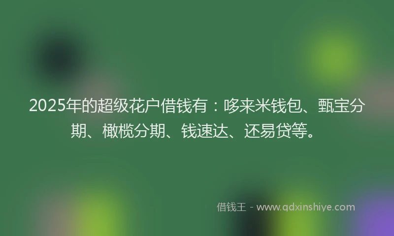 2025年的超级花户借钱有：哆来米钱包、甄宝分期、橄榄分期、钱速达、还易贷等。