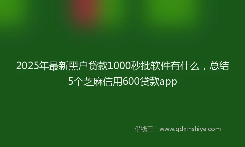 2025年最新黑户贷款1000秒批软件有什么，总结5个芝麻信用600贷款app