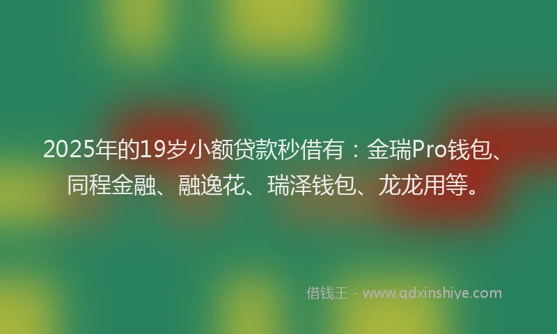 2025年的19岁小额贷款秒借有：金瑞Pro钱包、同程金融、融逸花、瑞泽钱包、龙龙用等。