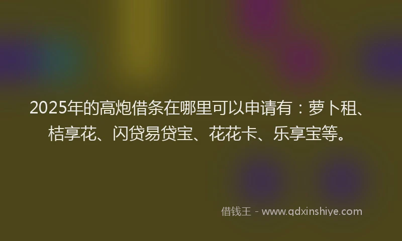 2025年的高炮借条在哪里可以申请有：萝卜租、桔享花、闪贷易贷宝、花花卡、乐享宝等。