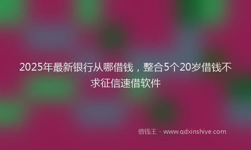 2025年最新银行从哪借钱，整合5个20岁借钱不求征信速借软件