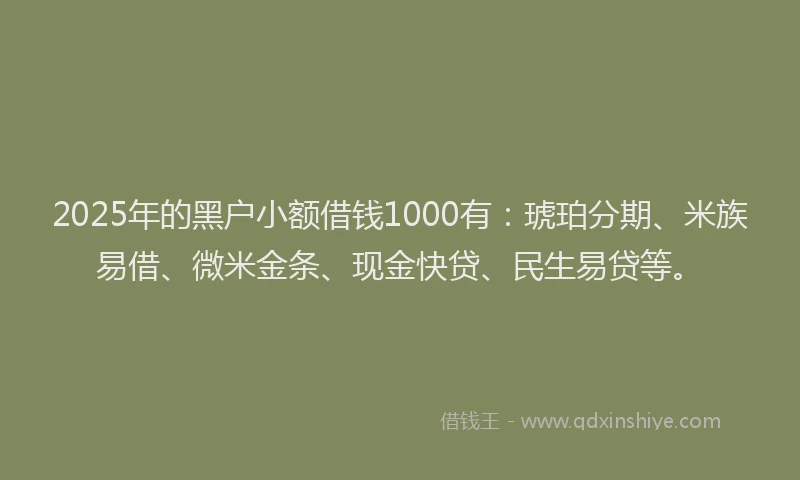 2025年的黑户小额借钱1000有：琥珀分期、米族易借、微米金条、现金快贷、民生易贷等。