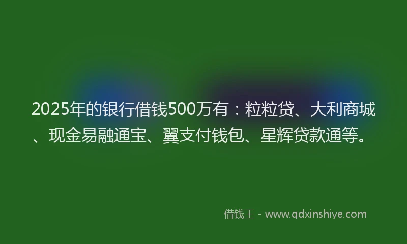 2025年的银行借钱500万有：粒粒贷、大利商城、现金易融通宝、翼支付钱包、星辉贷款通等。