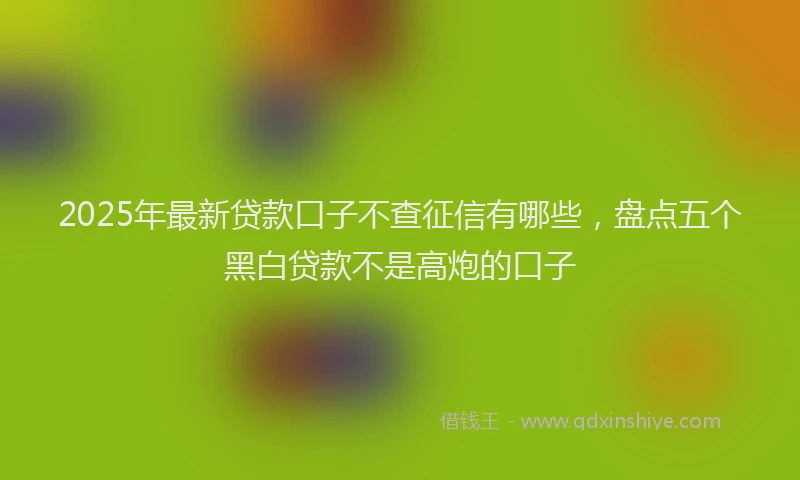 2025年最新贷款口子不查征信有哪些，盘点五个黑白贷款不是高炮的口子