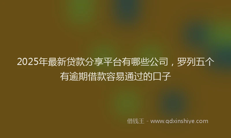 2025年最新贷款分享平台有哪些公司，罗列五个有逾期借款容易通过的口子