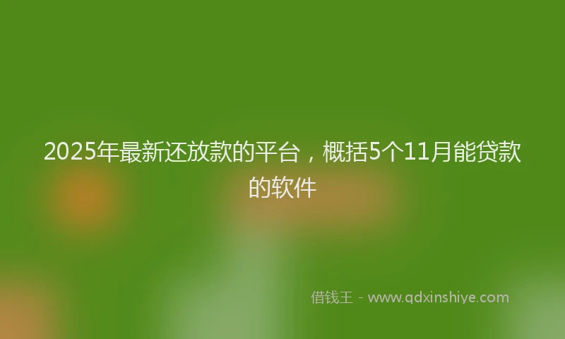 2025年最新还放款的平台，概括5个11月能贷款的软件