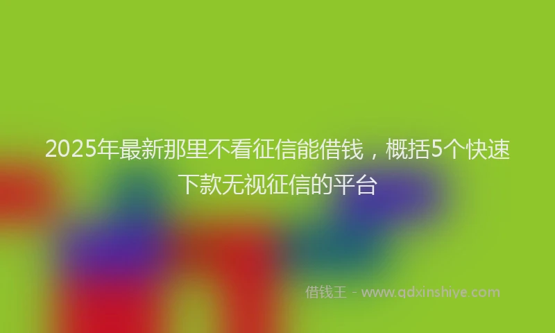 2025年最新那里不看征信能借钱，概括5个快速下款无视征信的平台