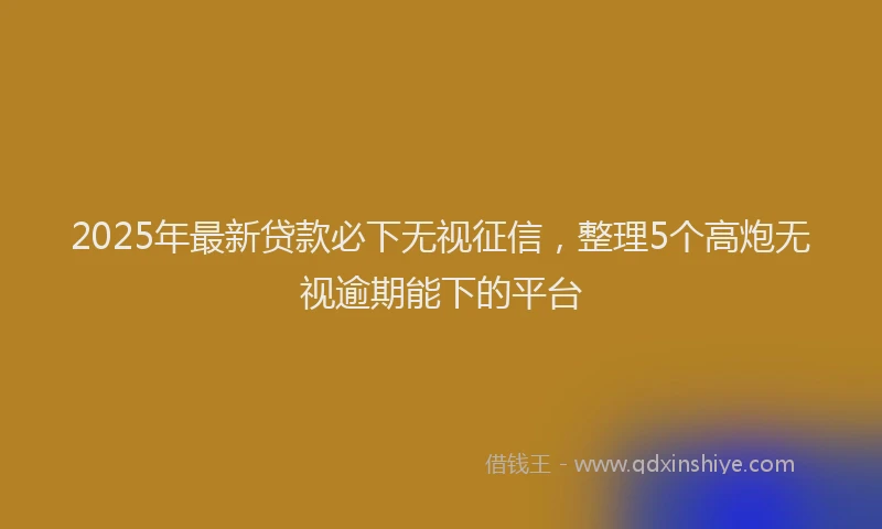 2025年最新贷款必下无视征信，整理5个高炮无视逾期能下的平台