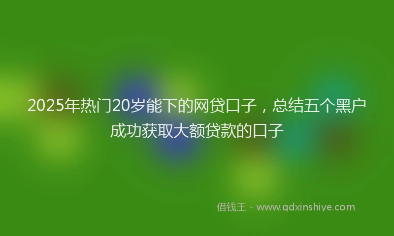 2025年热门20岁能下的网贷口子，总结五个黑户成功获取大额贷款的口子