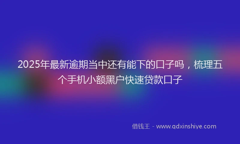 2025年最新逾期当中还有能下的口子吗，梳理五个手机小额黑户快速贷款口子