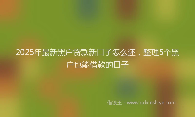 2025年最新黑户贷款新口子怎么还，整理5个黑户也能借款的口子