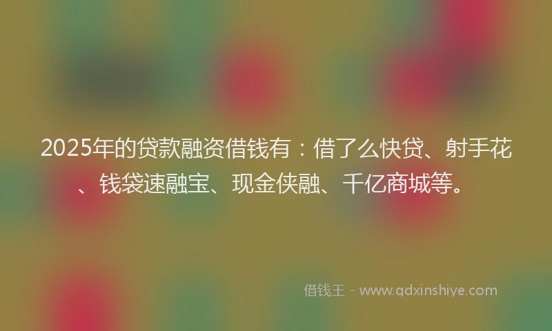 2025年的贷款融资借钱有：借了么快贷、射手花、钱袋速融宝、现金侠融、千亿商城等。