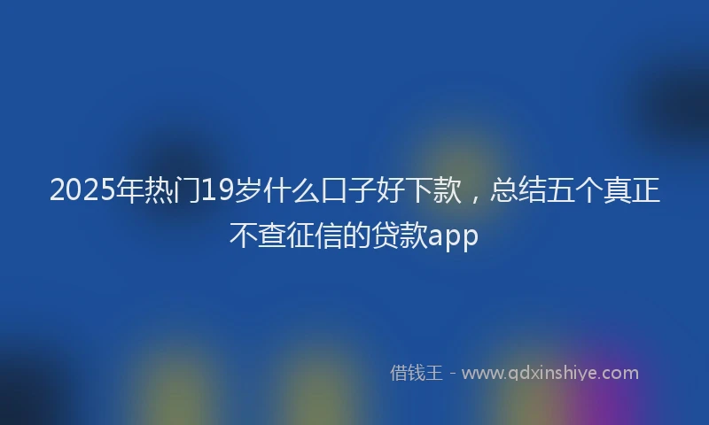 2025年热门19岁什么口子好下款，总结五个真正不查征信的贷款app