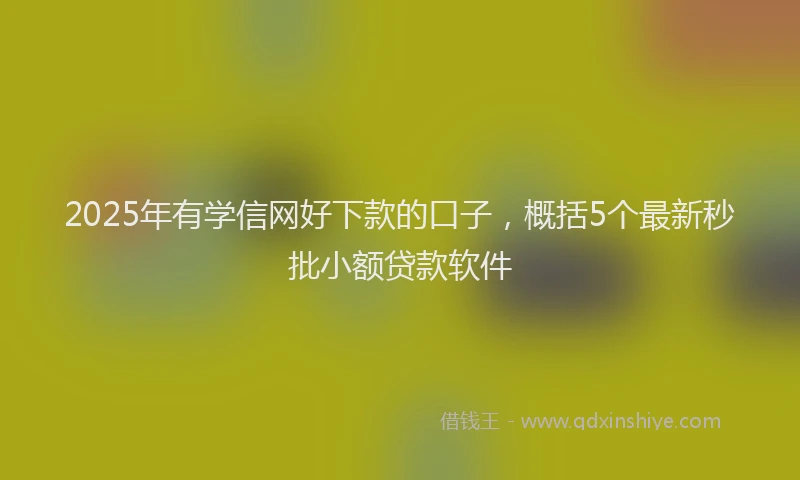 2025年有学信网好下款的口子，概括5个最新秒批小额贷款软件