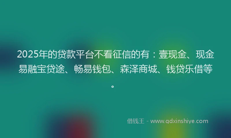 2025年的贷款平台不看征信的有：壹现金、现金易融宝贷途、畅易钱包、森泽商城、钱贷乐借等。