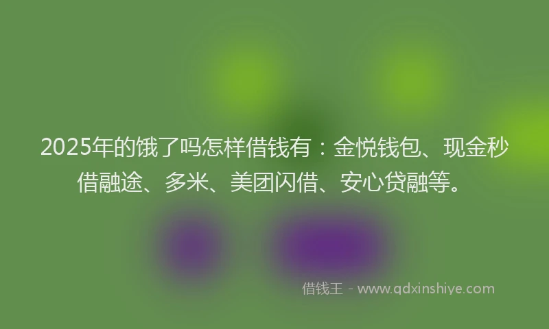 2025年的饿了吗怎样借钱有：金悦钱包、现金秒借融途、多米、美团闪借、安心贷融等。