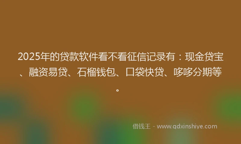 2025年的贷款软件看不看征信记录有：现金贷宝、融资易贷、石榴钱包、口袋快贷、哆哆分期等。