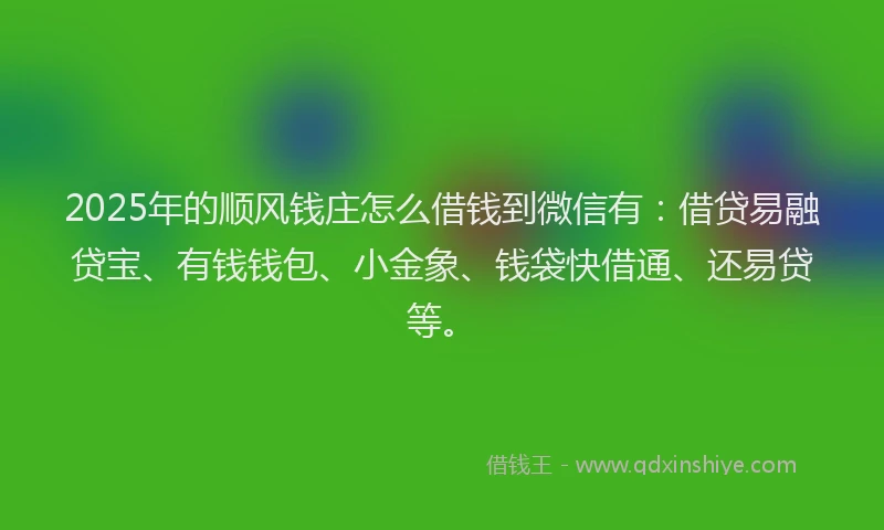 2025年的顺风钱庄怎么借钱到微信有：借贷易融贷宝、有钱钱包、小金象、钱袋快借通、还易贷等。