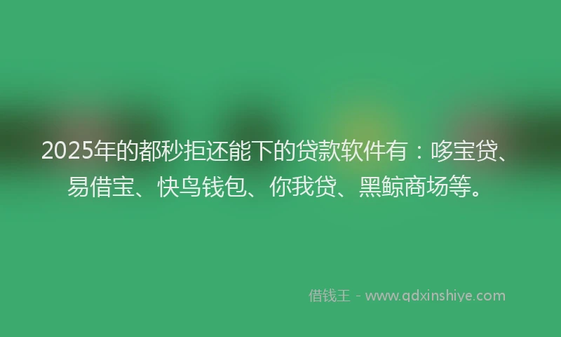2025年的都秒拒还能下的贷款软件有：哆宝贷、易借宝、快鸟钱包、你我贷、黑鲸商场等。