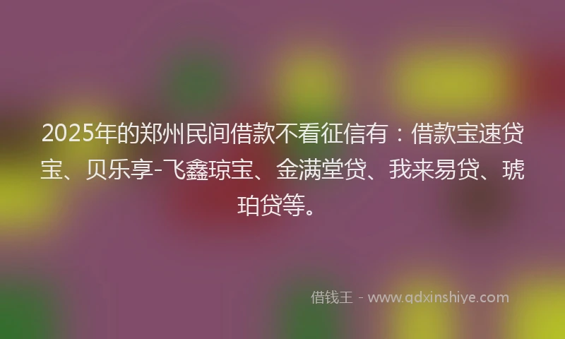 2025年的郑州民间借款不看征信有：借款宝速贷宝、贝乐享-飞鑫琼宝、金满堂贷、我来易贷、琥珀贷等。
