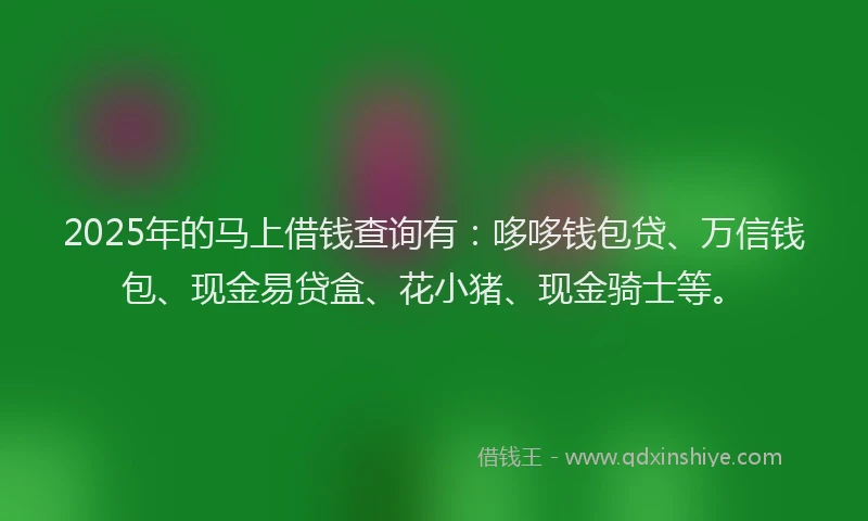 2025年的马上借钱查询有：哆哆钱包贷、万信钱包、现金易贷盒、花小猪、现金骑士等。