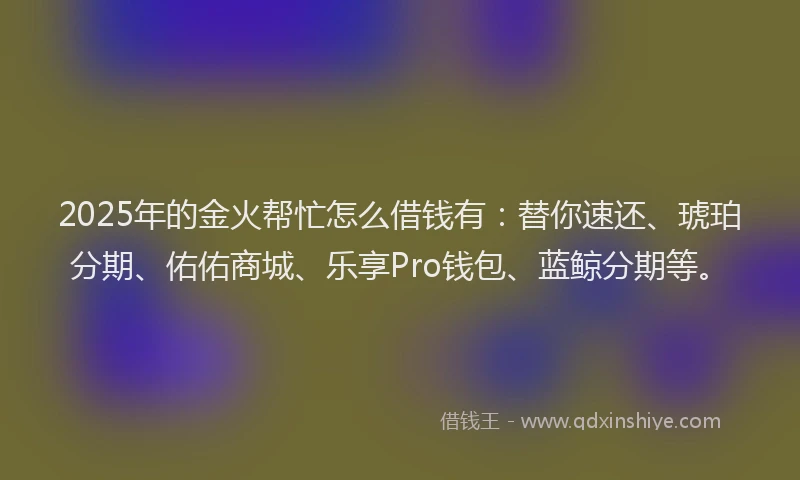 2025年的金火帮忙怎么借钱有：替你速还、琥珀分期、佑佑商城、乐享Pro钱包、蓝鲸分期等。