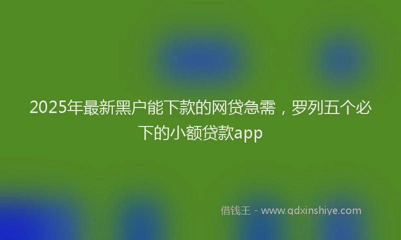 2025年最新黑户能下款的网贷急需，罗列五个必下的小额贷款app
