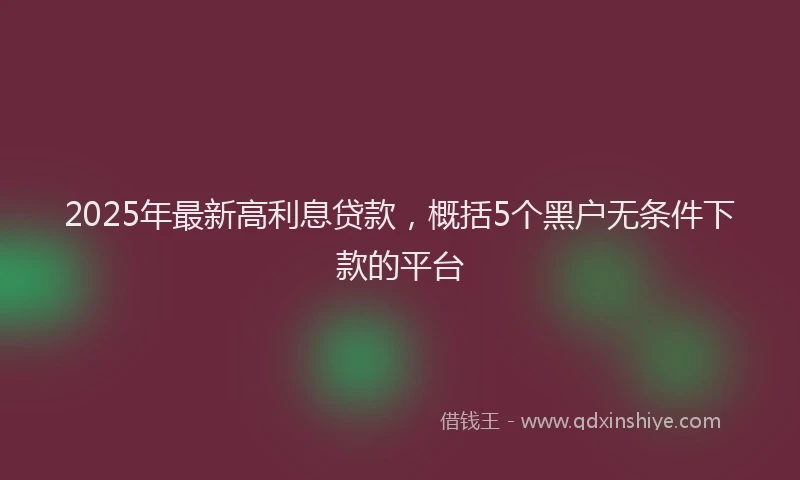 2025年最新高利息贷款，概括5个黑户无条件下款的平台