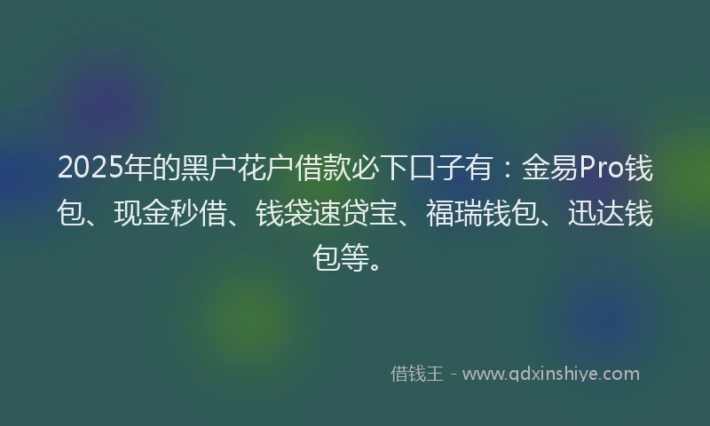 2025年的黑户花户借款必下口子有：金易Pro钱包、现金秒借、钱袋速贷宝、福瑞钱包、迅达钱包等。