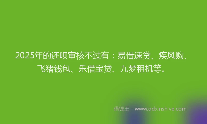 2025年的还呗审核不过有：易借速贷、疾风购、飞猪钱包、乐借宝贷、九梦租机等。