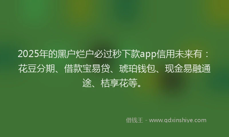 2025年的黑户烂户必过秒下款app信用未来有：花豆分期、借款宝易贷、琥珀钱包、现金易融通途、桔享花等。
