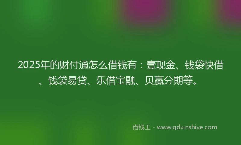 2025年的财付通怎么借钱有：壹现金、钱袋快借、钱袋易贷、乐借宝融、贝赢分期等。