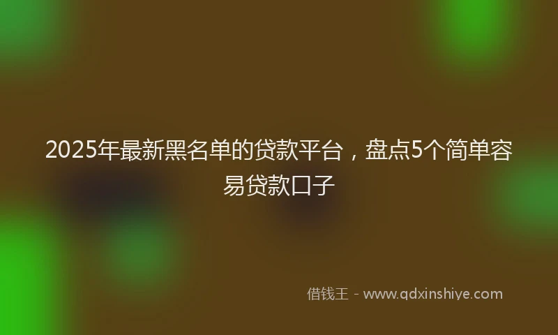 2025年最新黑名单的贷款平台，盘点5个简单容易贷款口子