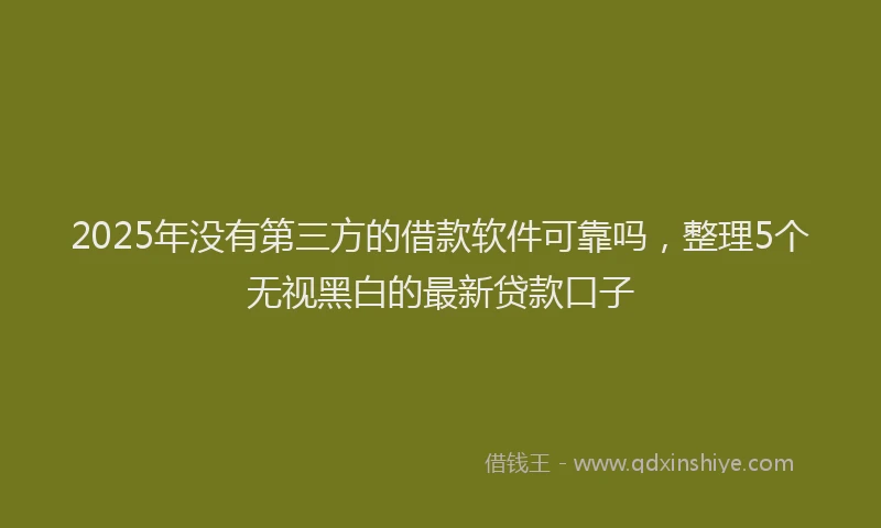 2025年没有第三方的借款软件可靠吗，整理5个无视黑白的最新贷款口子