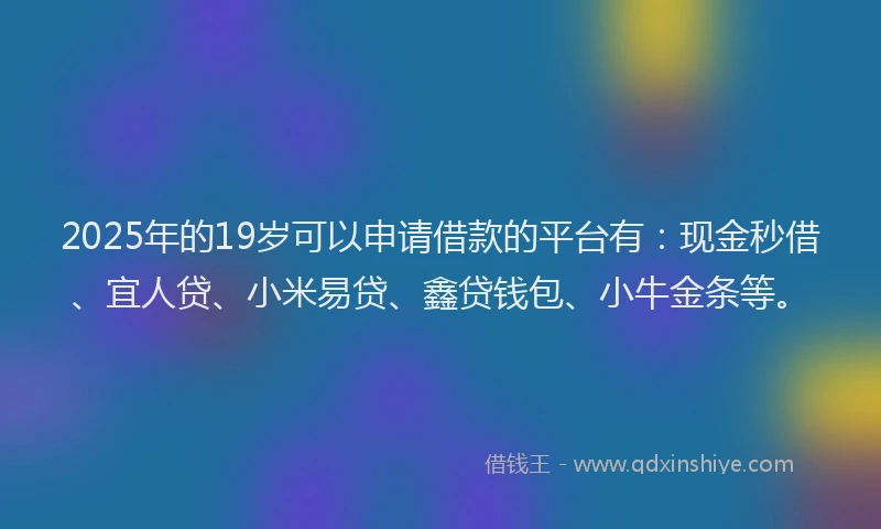 2025年的19岁可以申请借款的平台有：现金秒借、宜人贷、小米易贷、鑫贷钱包、小牛金条等。