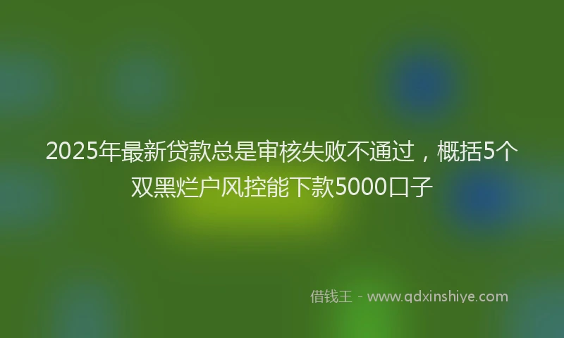 2025年最新贷款总是审核失败不通过，概括5个双黑烂户风控能下款5000口子