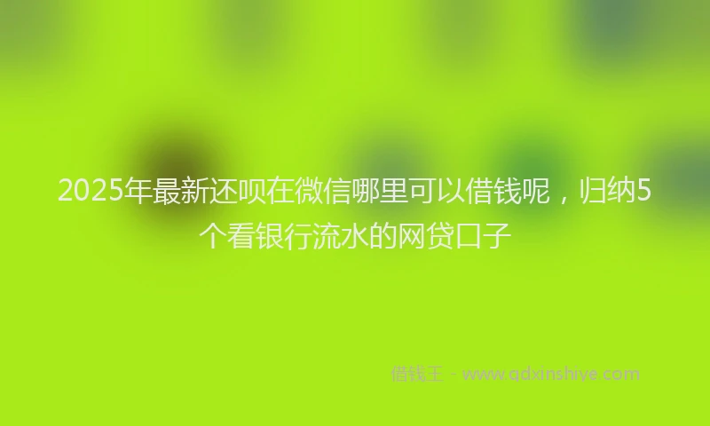 2025年最新还呗在微信哪里可以借钱呢，归纳5个看银行流水的网贷口子