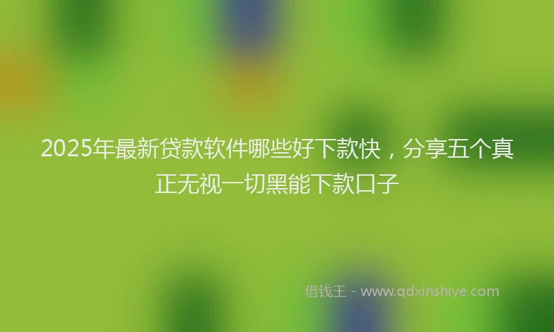 2025年最新贷款软件哪些好下款快，分享五个真正无视一切黑能下款口子