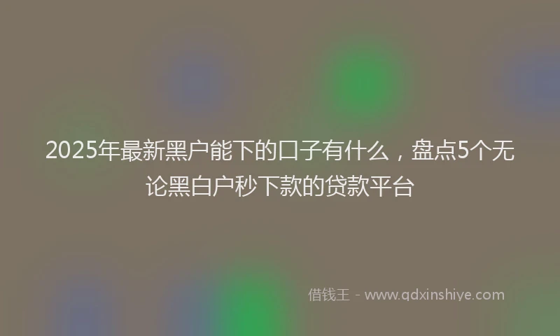 2025年最新黑户能下的口子有什么，盘点5个无论黑白户秒下款的贷款平台