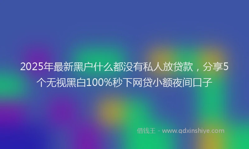 2025年最新黑户什么都没有私人放贷款，分享5个无视黑白100%秒下网贷小额夜间口子