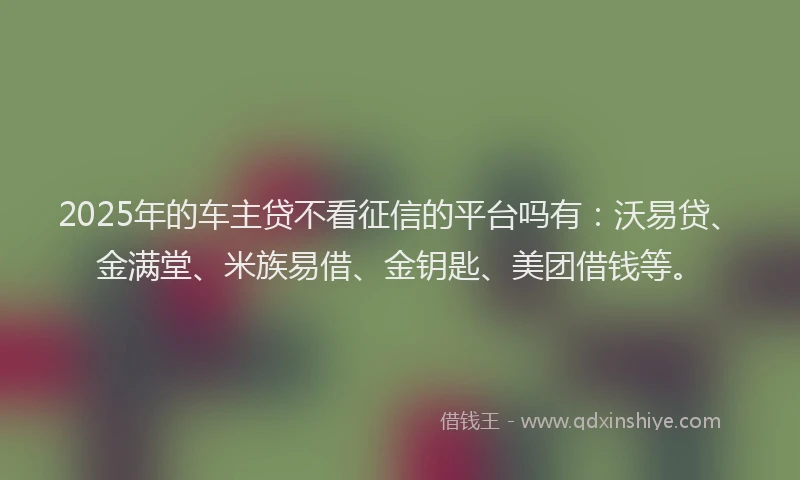 2025年的车主贷不看征信的平台吗有：沃易贷、金满堂、米族易借、金钥匙、美团借钱等。